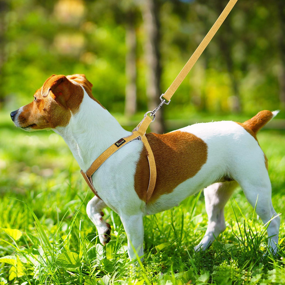 PLUTUS PET arnés amarillo para perros de todo tamaño.