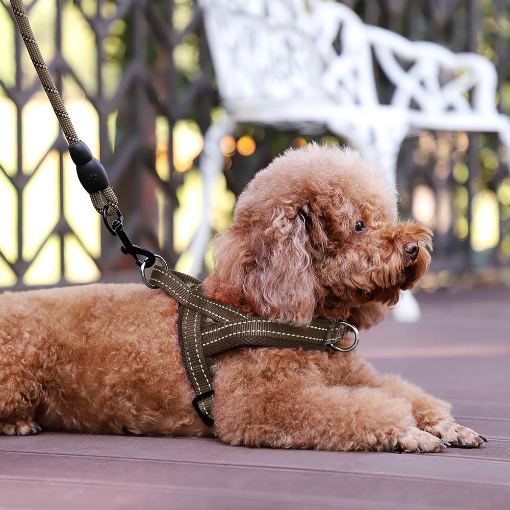 Arnés PLUTUS PET con O-ring trasero para paseos casuales.