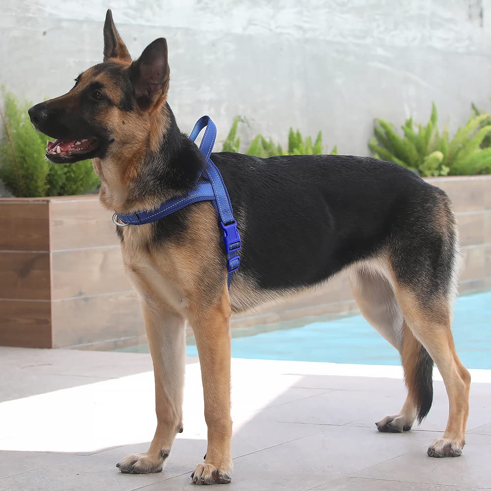 Arnés Plutus Pet diseño anti-escape para mayor seguridad durante salidas