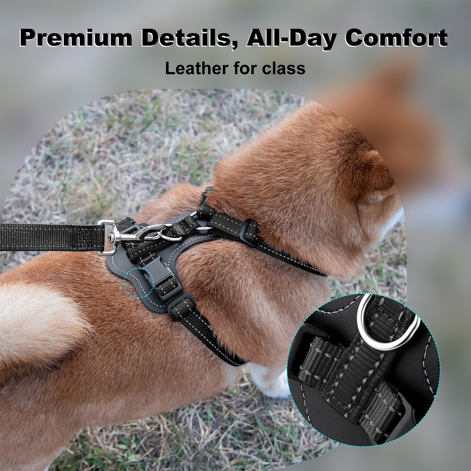 Arnés Plutus Pet con dos anillos D para control versátil.
