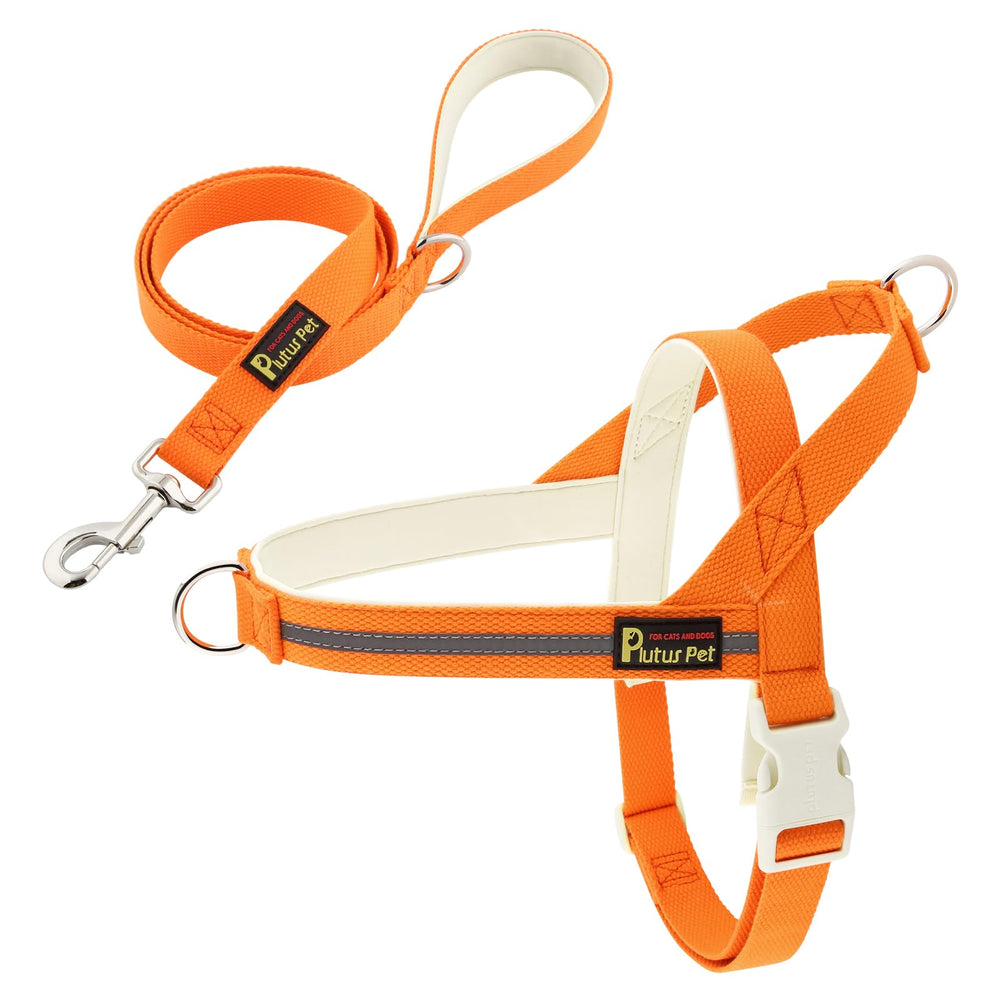Arnés Plutus Pet con diseño no tirones frontal y anillo D para entrenamiento.