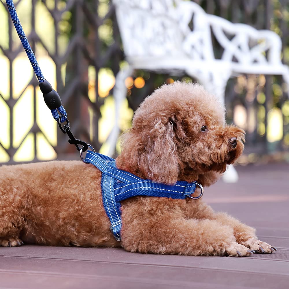 Arnés Plutus Pet reflectante para seguridad en paseos nocturnos.
