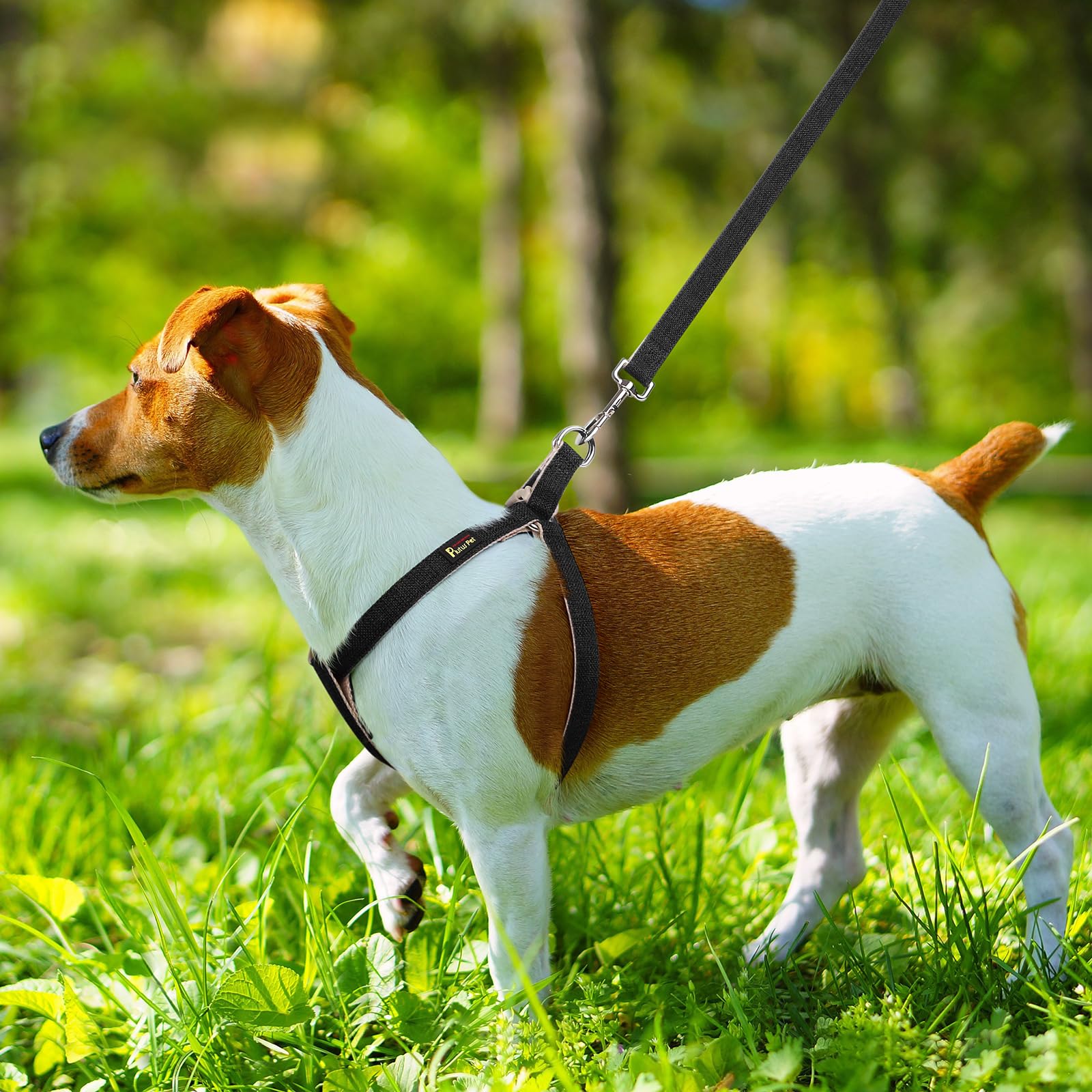 Arnés Plutus Pet de algodón y cáñamo para cuidado sostenible.