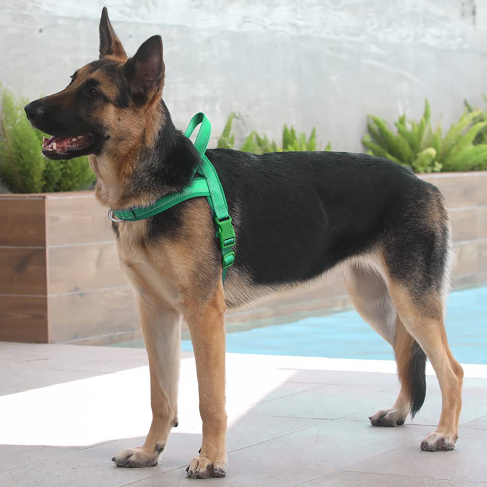 Arnés PLUTUS PET reflectante para mayor visibilidad nocturna