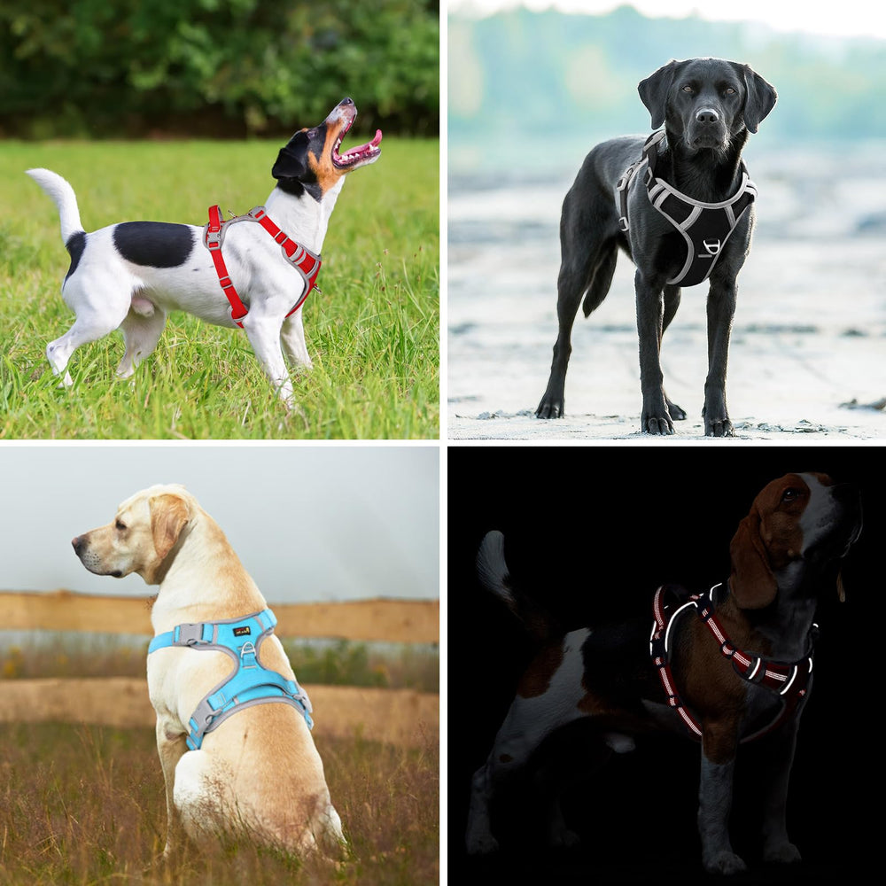 PLUTUS PET arnés reflectivo para mayor visibilidad en salidas nocturnas