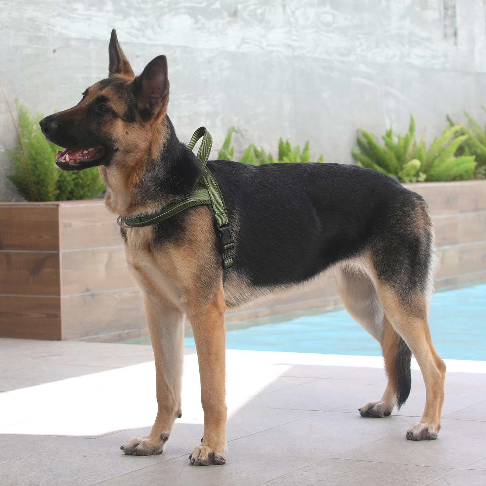 Arnés PLUTUS PET verde Ranger XL para perros grandes.