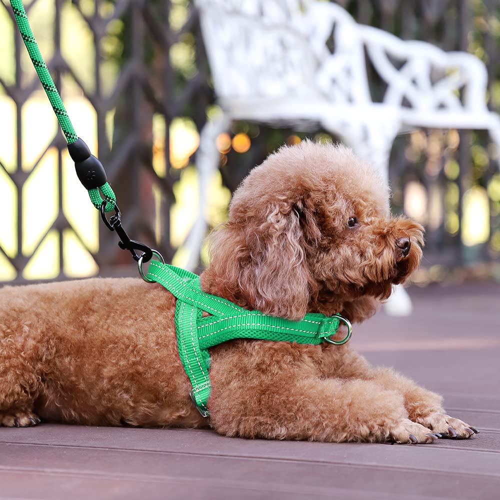Arnés verde XS de Plutus Pet con malla transpirable para confort diario.