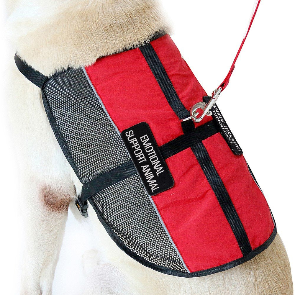 Chaleco de PLUTUS PET con malla fresca para días cálidos.