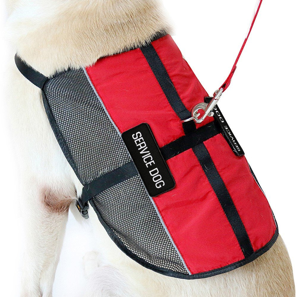PLUTUS PET cintas reflectantes para seguridad nocturna