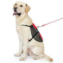 Cintas reflectivas PLUTUS PET para mayor visibilidad nocturna.