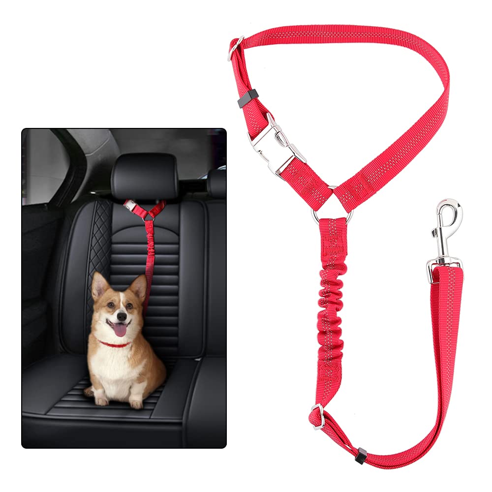 PLUTUS PET cinturón fijado al reposacabezas para coche, seguridad en cada viaje.