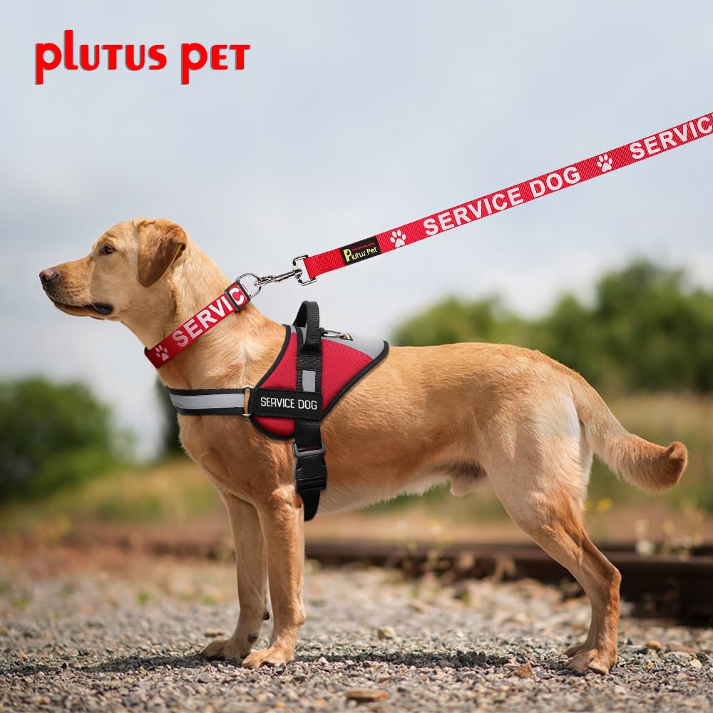 PLUTUS PET clip metálico duradero para sujeción fiable