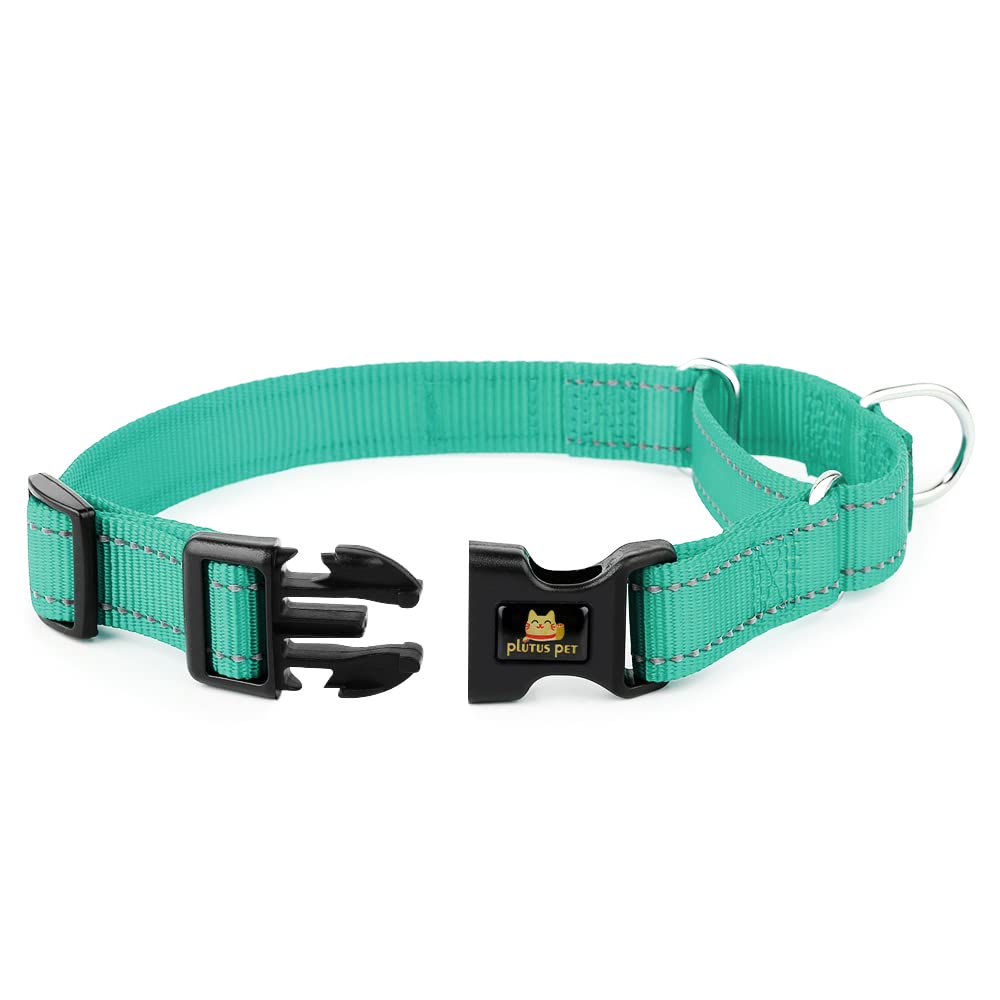 Collar con hebilla rápida de Plutus Pet para ponérselo y quitarlo fácilmente.