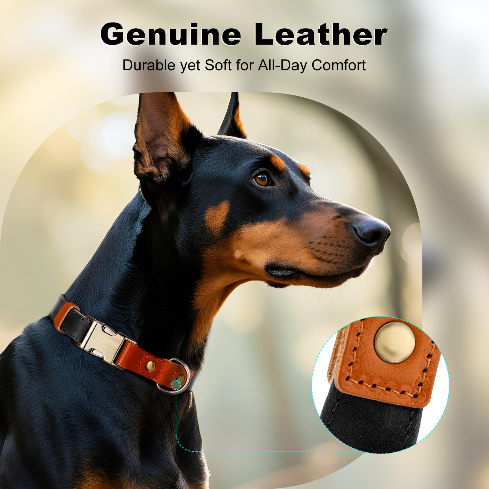 Collar PLUTUS PET con ajuste deslizador suave y precisión.