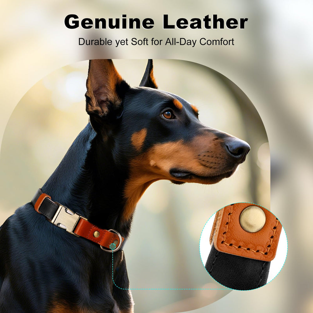 Collar PLUTUS PET con ajuste deslizador suave y precisión.