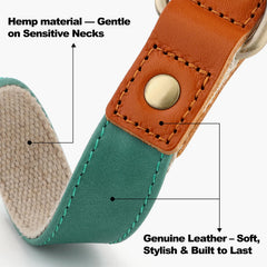 PLUTUS PET collar cuero cáñamo, enfoque suave para piel sensible y uso diario