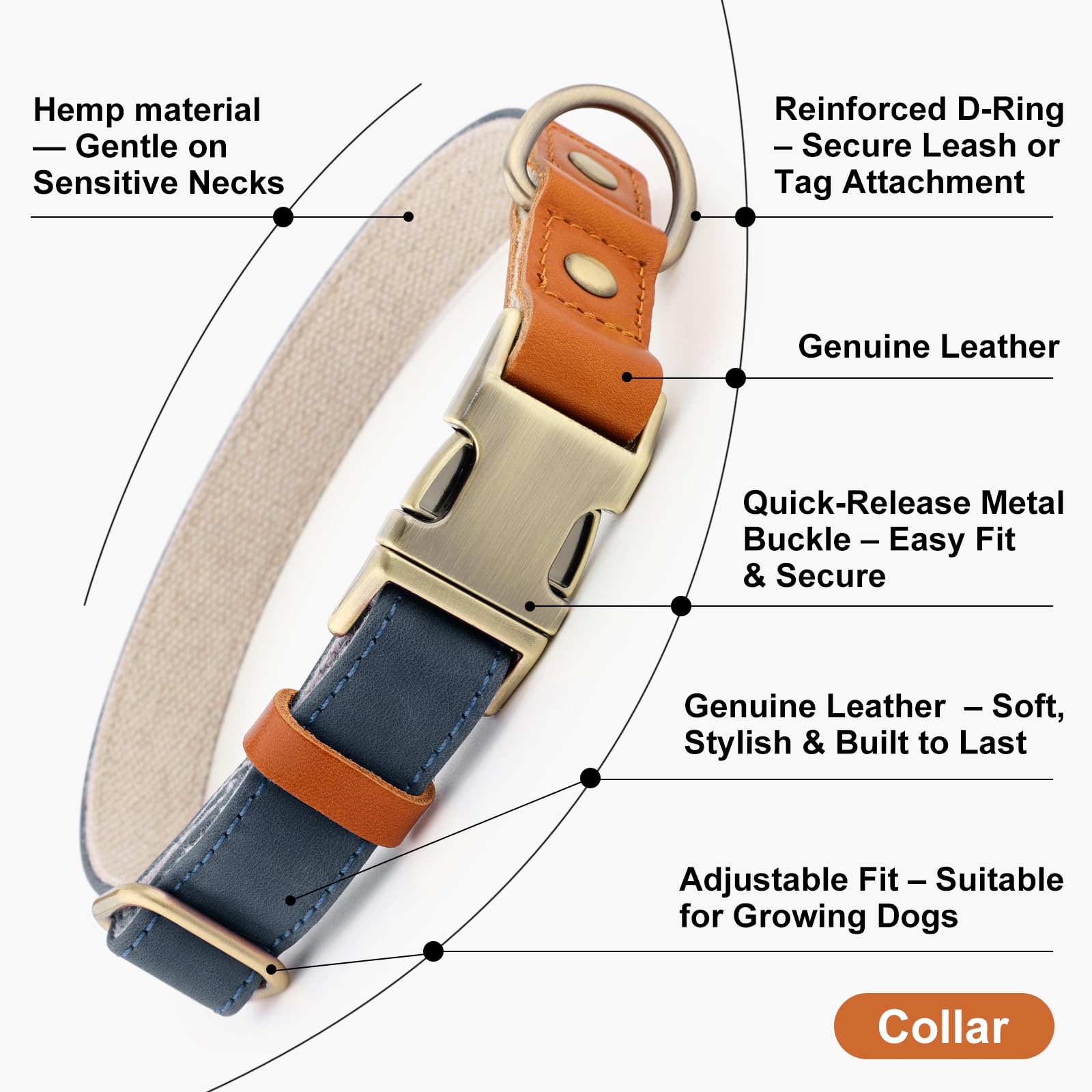 Plutus Pet collar-crece-con-perro para crecimiento saludable