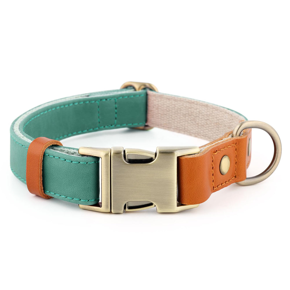 PLUTUS PET collar cuero cáñamo, detalle de hebilla rápida para mayor comodidad