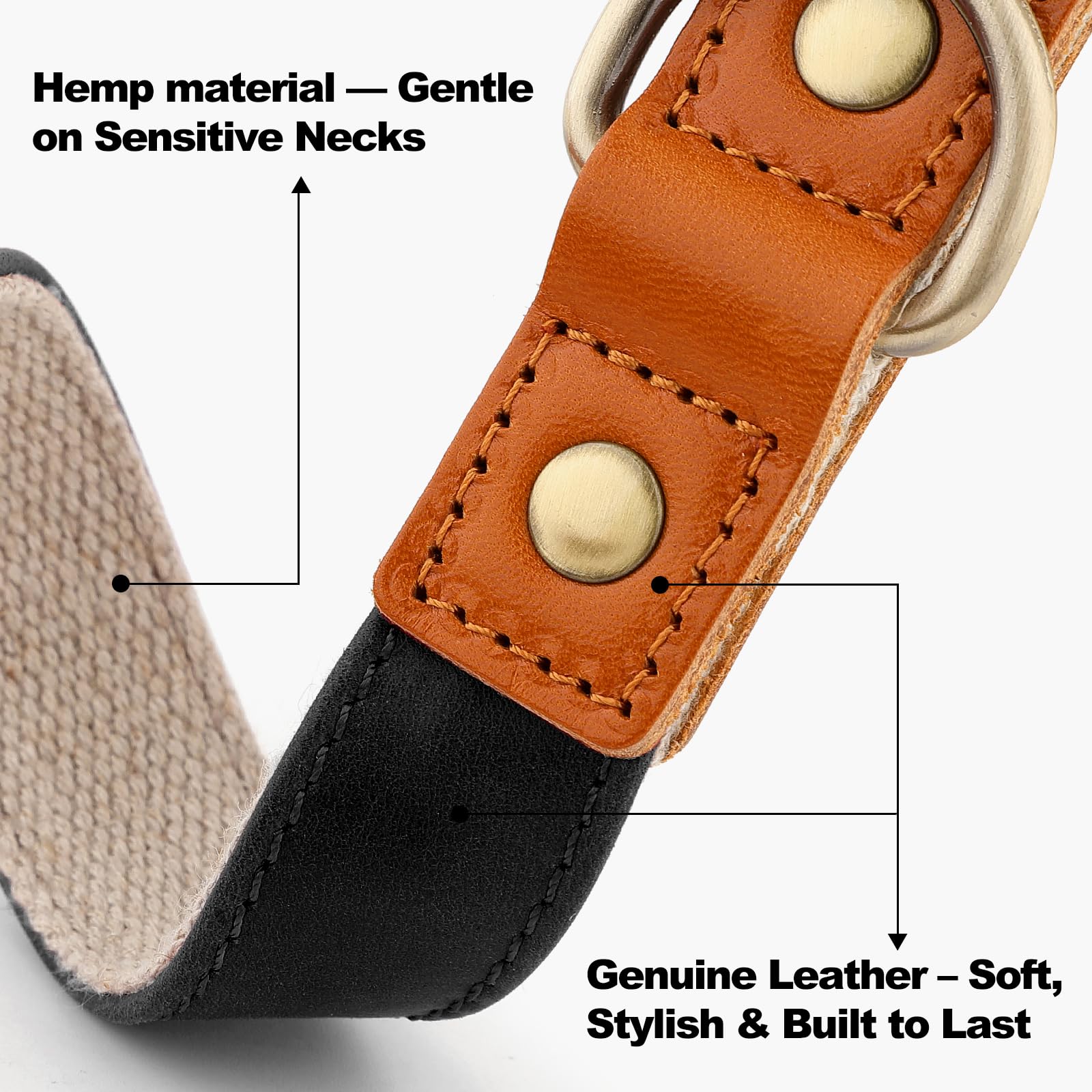 Detalle de hebilla rápida en collar PLUTUS PET para ponérselo fácilmente.