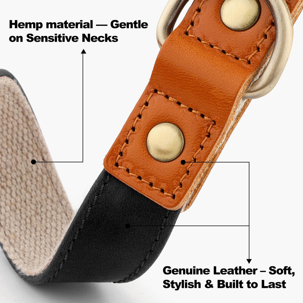 Detalle de hebilla rápida en collar PLUTUS PET para ponérselo fácilmente.