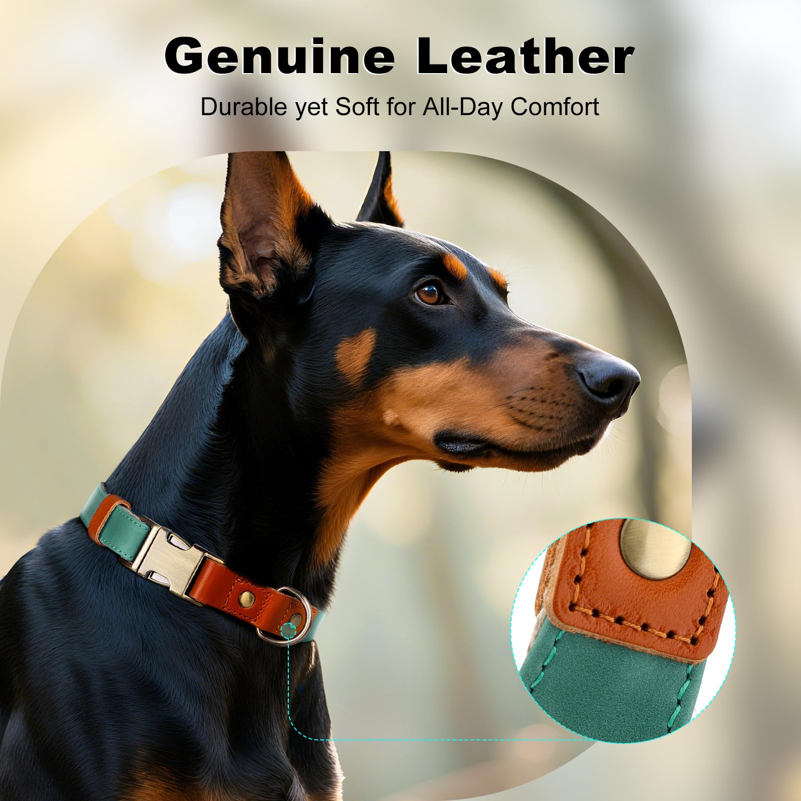 PLUTUS PET collar cuero cáñamo, ajuste rápido con hebilla metálica