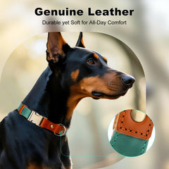PLUTUS PET collar cuero cáñamo, ajuste rápido con hebilla metálica