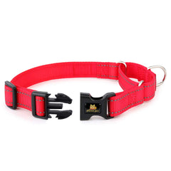 Collar PLUTUS PET con hebilla rápida, fácil de colocar y quitar.
