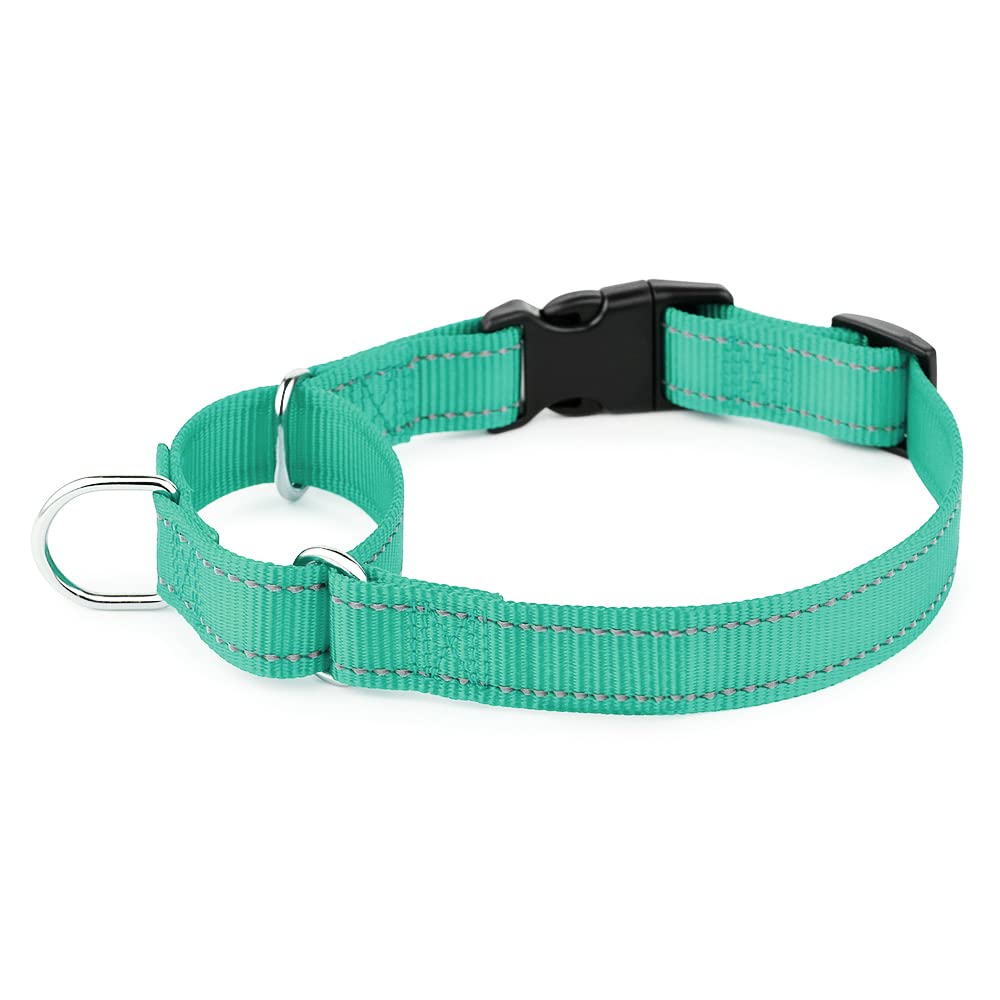 Collar martingala reflectante de Plutus Pet en teal, mejor visibilidad nocturna.