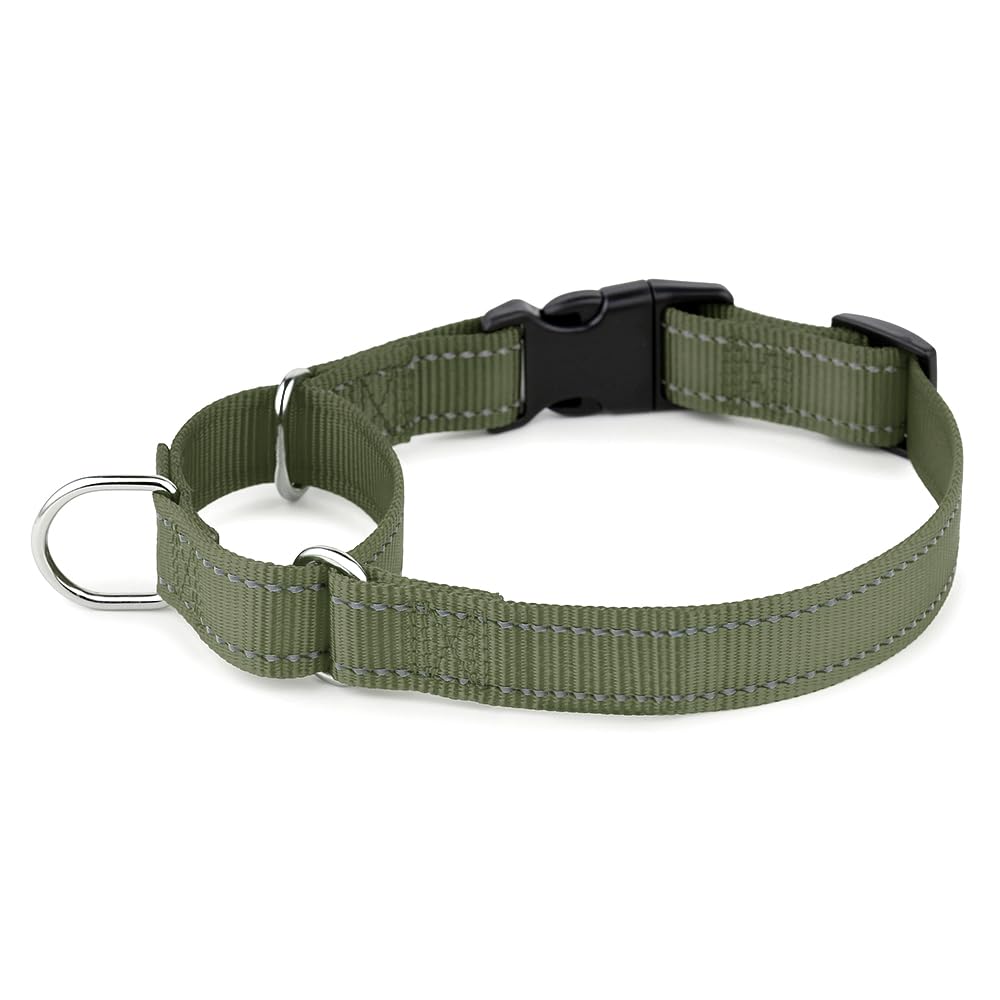 PLUTUS PET collar martingala reflectivo para paseos nocturnos y seguros