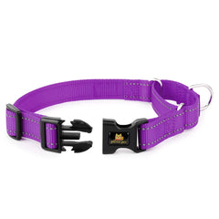 PLUTUS PET collar martingale en uso, ofrece control suave durante paseos nocturnos.