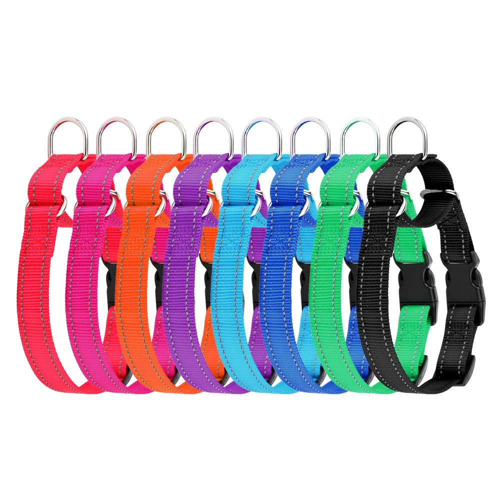 PLUTUS PET etiqueta de talla L, mostrando ajuste cómodo para perros grandes.