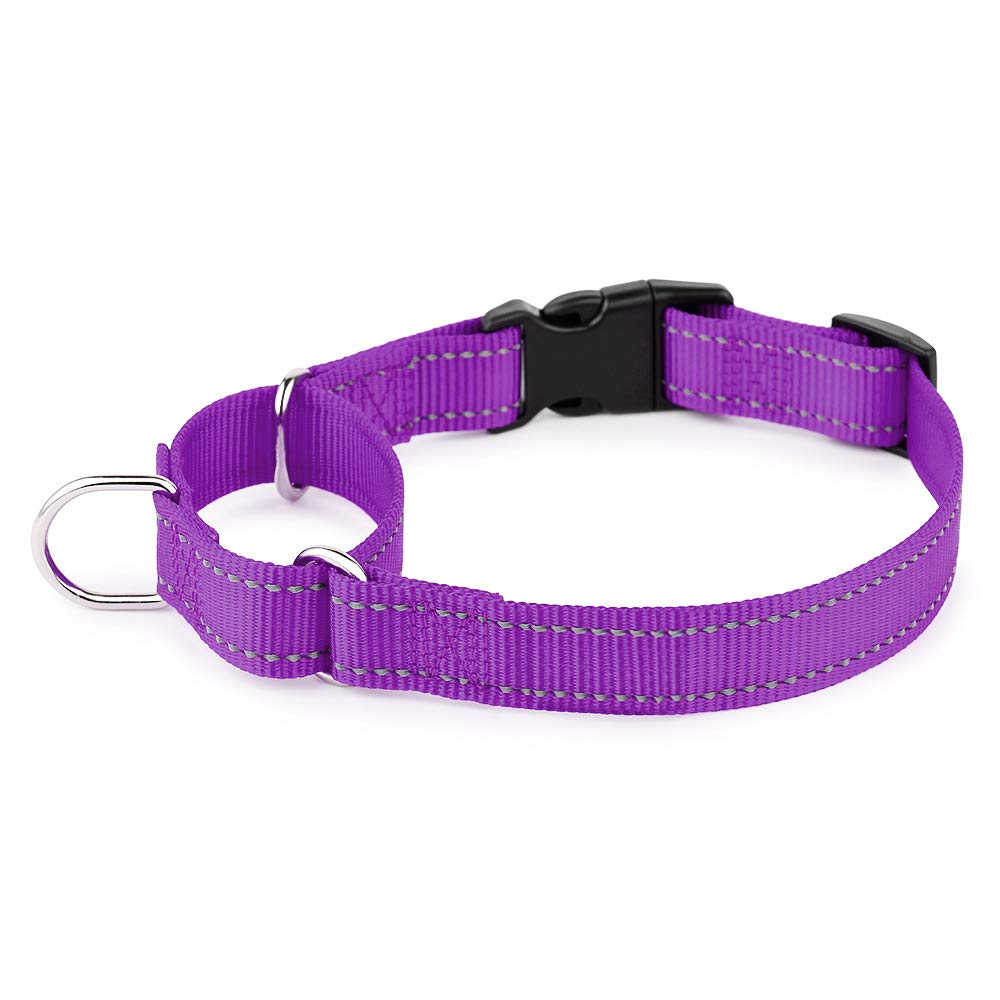 PLUTUS PET collar martingale reflectante visto de frente, ideal para entrenamiento seguro.