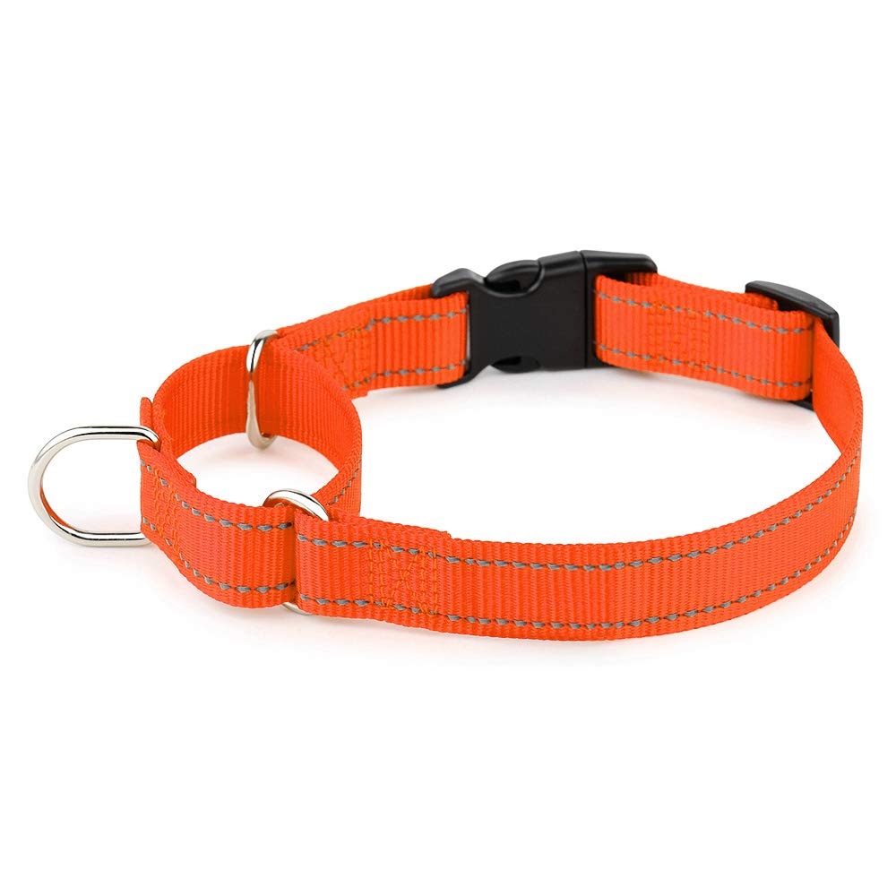 PLUTUS PET collar martingale reflectante con hebilla rápida para visibilidad nocturna