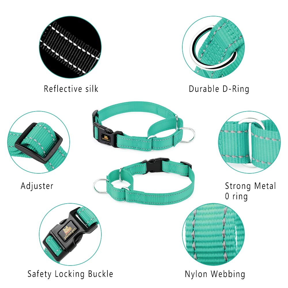 Collar de nylon resistente de Plutus Pet, diseño duradero para uso diario.