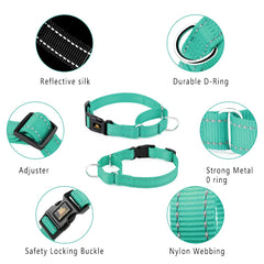 Collar de nylon resistente de Plutus Pet, diseño duradero para uso diario.