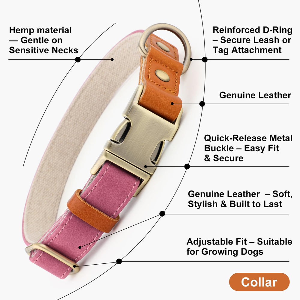 Collar disponible en tallas variadas para perros pequeños, medianos y grandes, con ajuste cómodo.