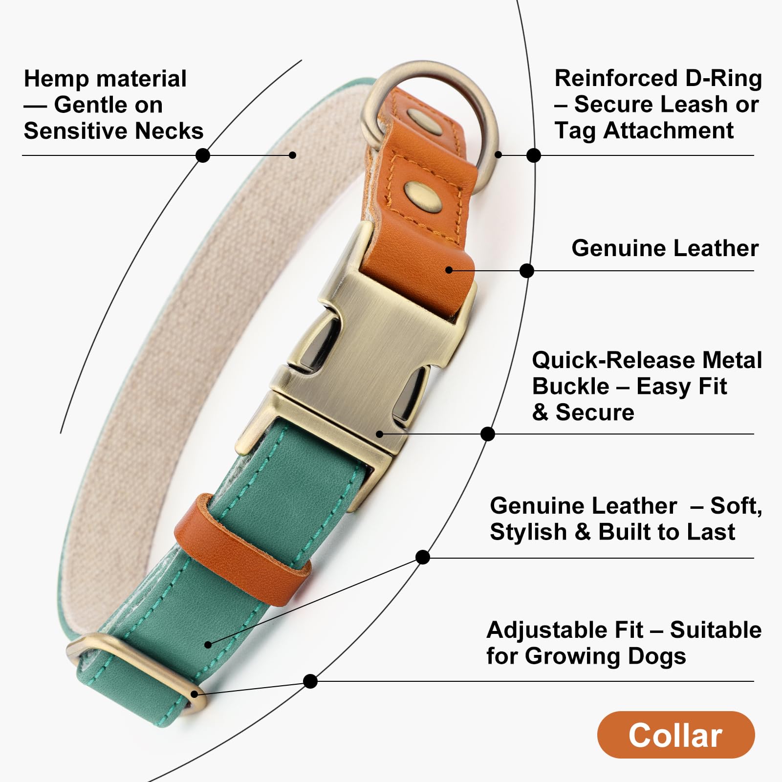 PLUTUS PET collar cuero cáñamo, perfecto para paseos diarios