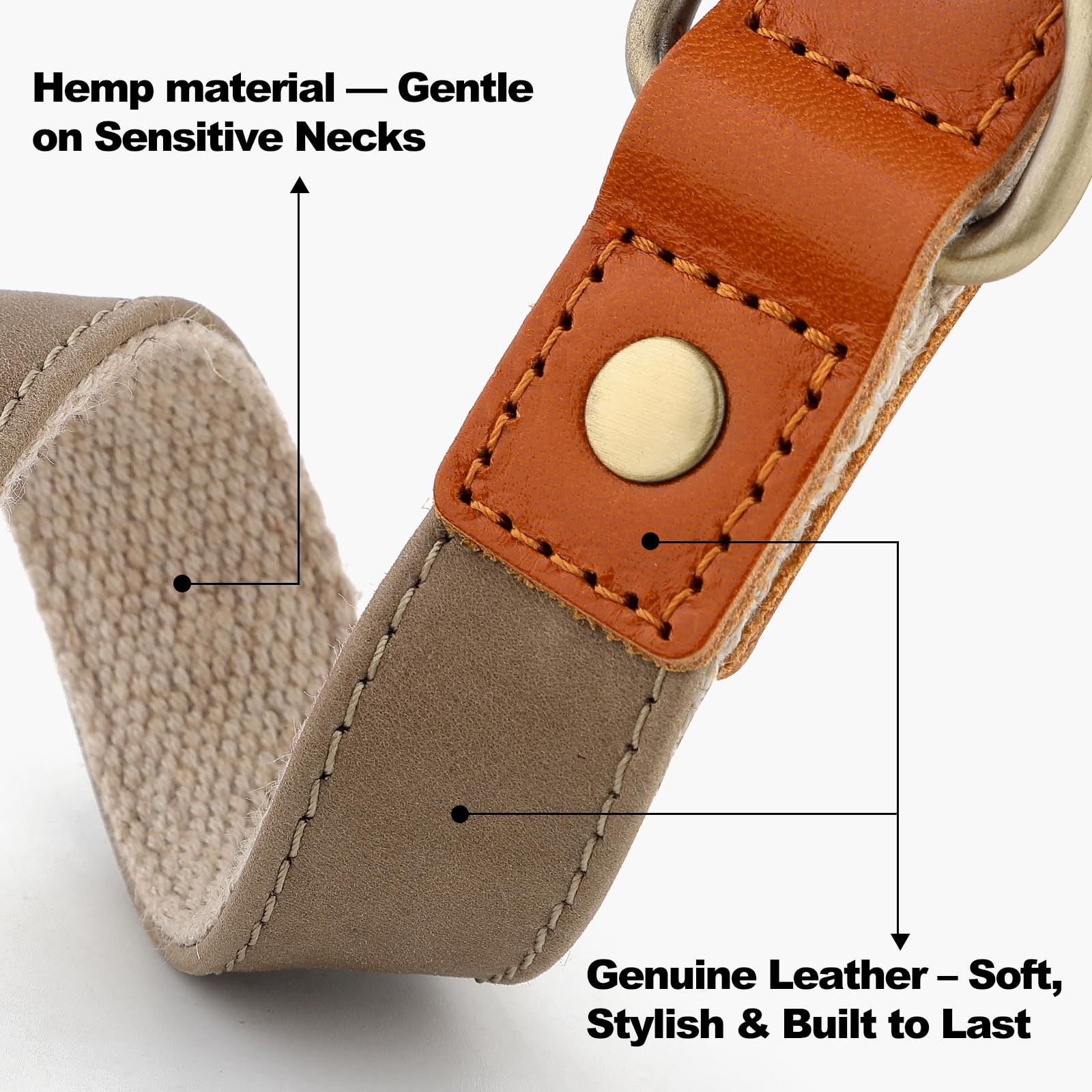 PLUTUS PET collar con cierre rápido de metal para colocar rápidamente