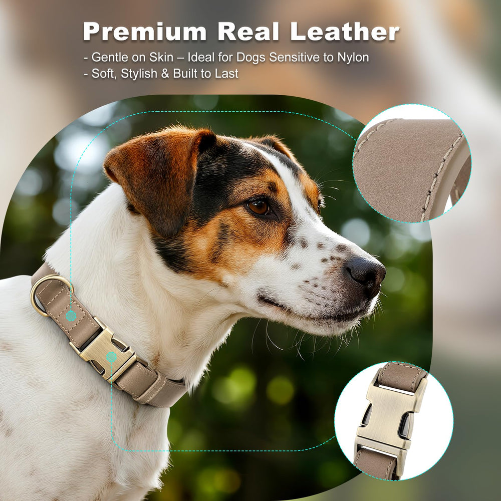 Collar PLUTUS PET cuero real con ajuste apto para tallas pequeñas