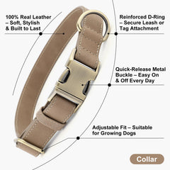 Collar PLUTUS PET cuero suave para cuellos sensibles, minimiza irritaciones