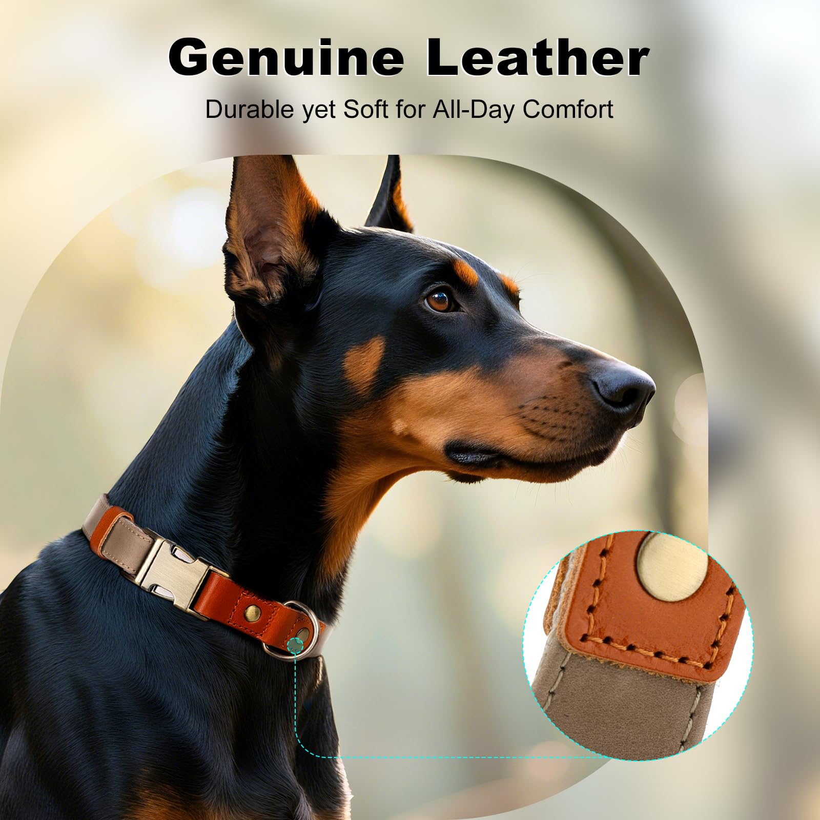 PLUTUS PET collar suave para piel sensible durante paseos largos