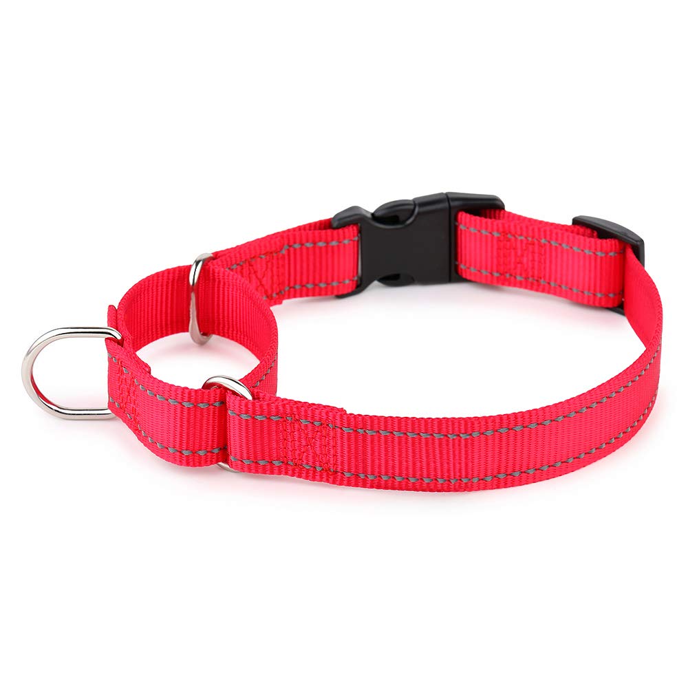 Collar PLUTUS PET reflectante con martingale para mayor visibilidad nocturna.