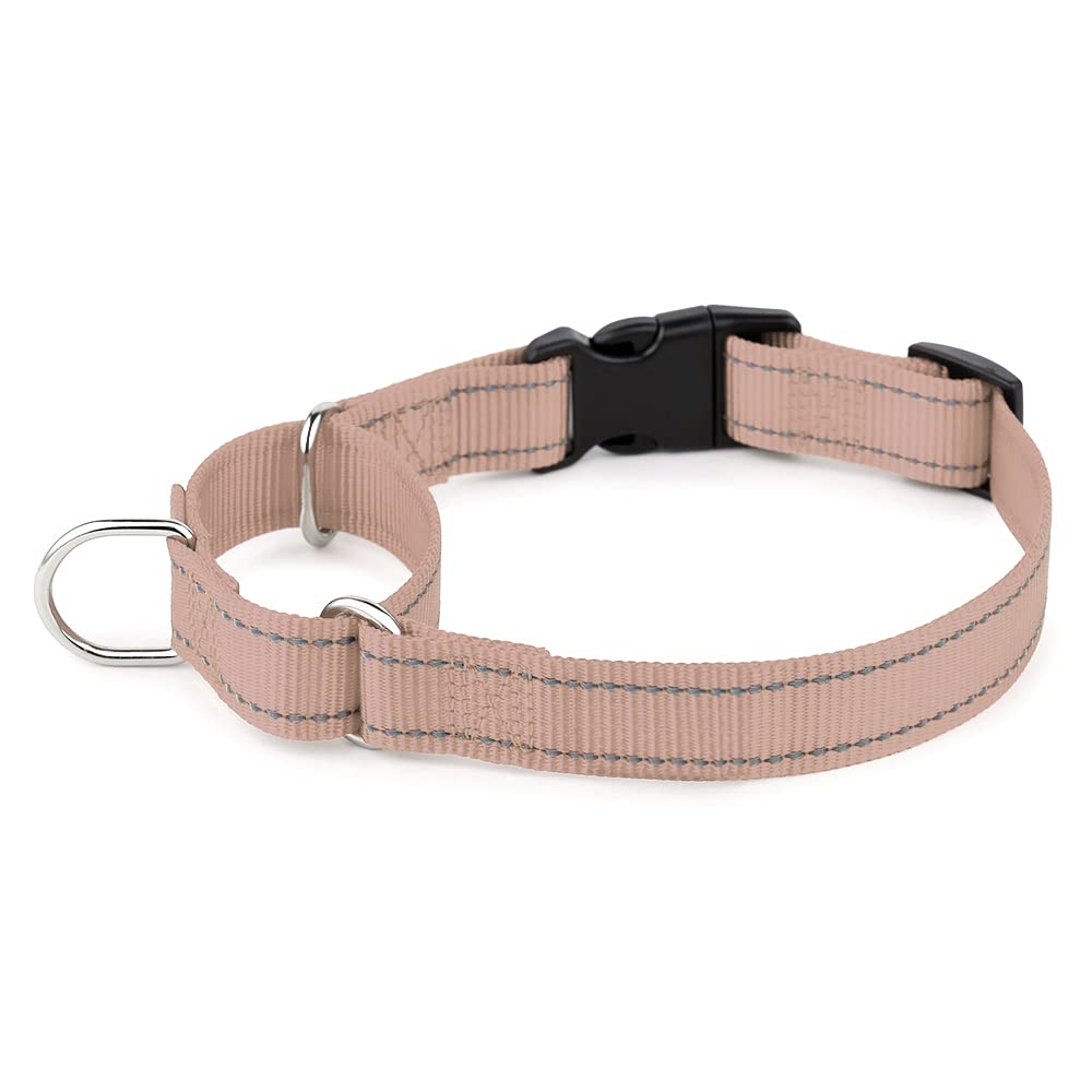 Collar reflectivo Plutus Pet con hebilla para mayor visibilidad nocturna