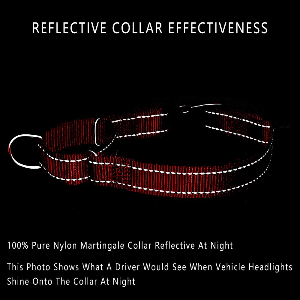 Collar PLUTUS PET con detalles reflectantes para paseos nocturnos seguros.