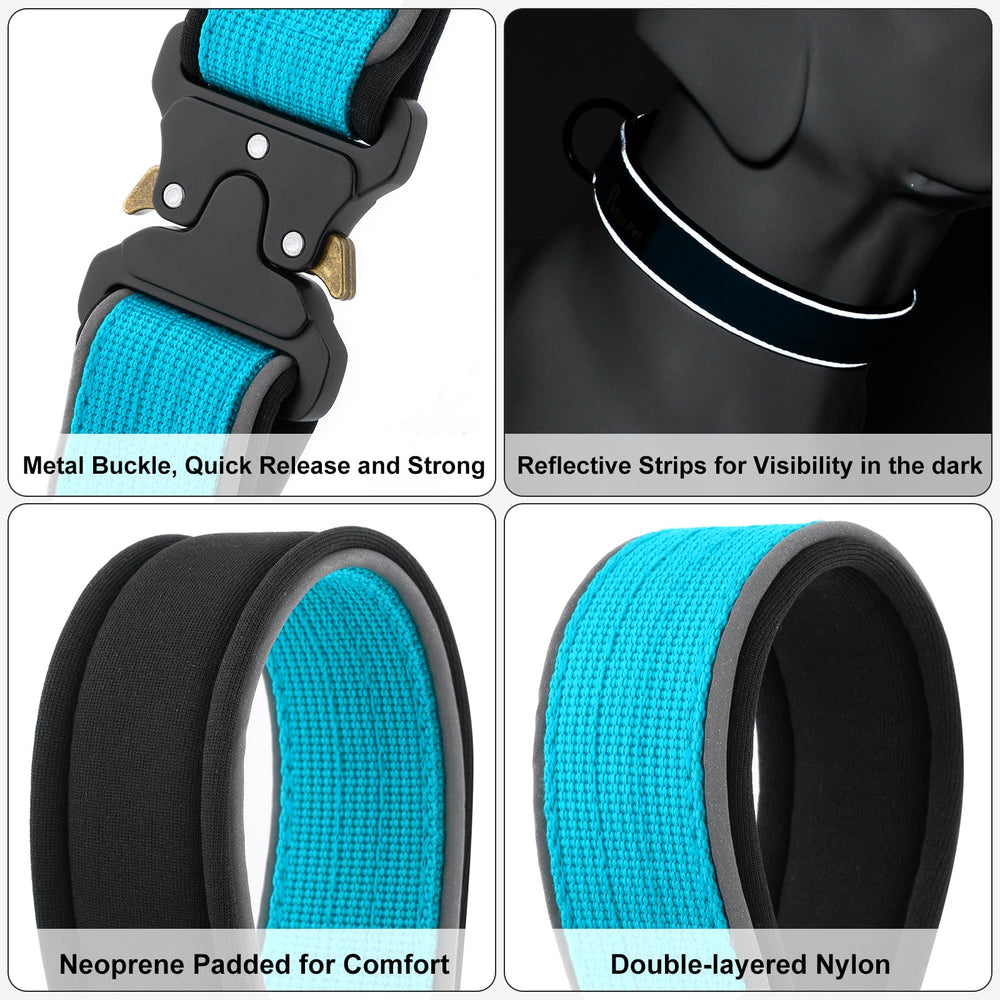 PLUTUS PET collar con banda reflectiva para caminatas al atardecer.