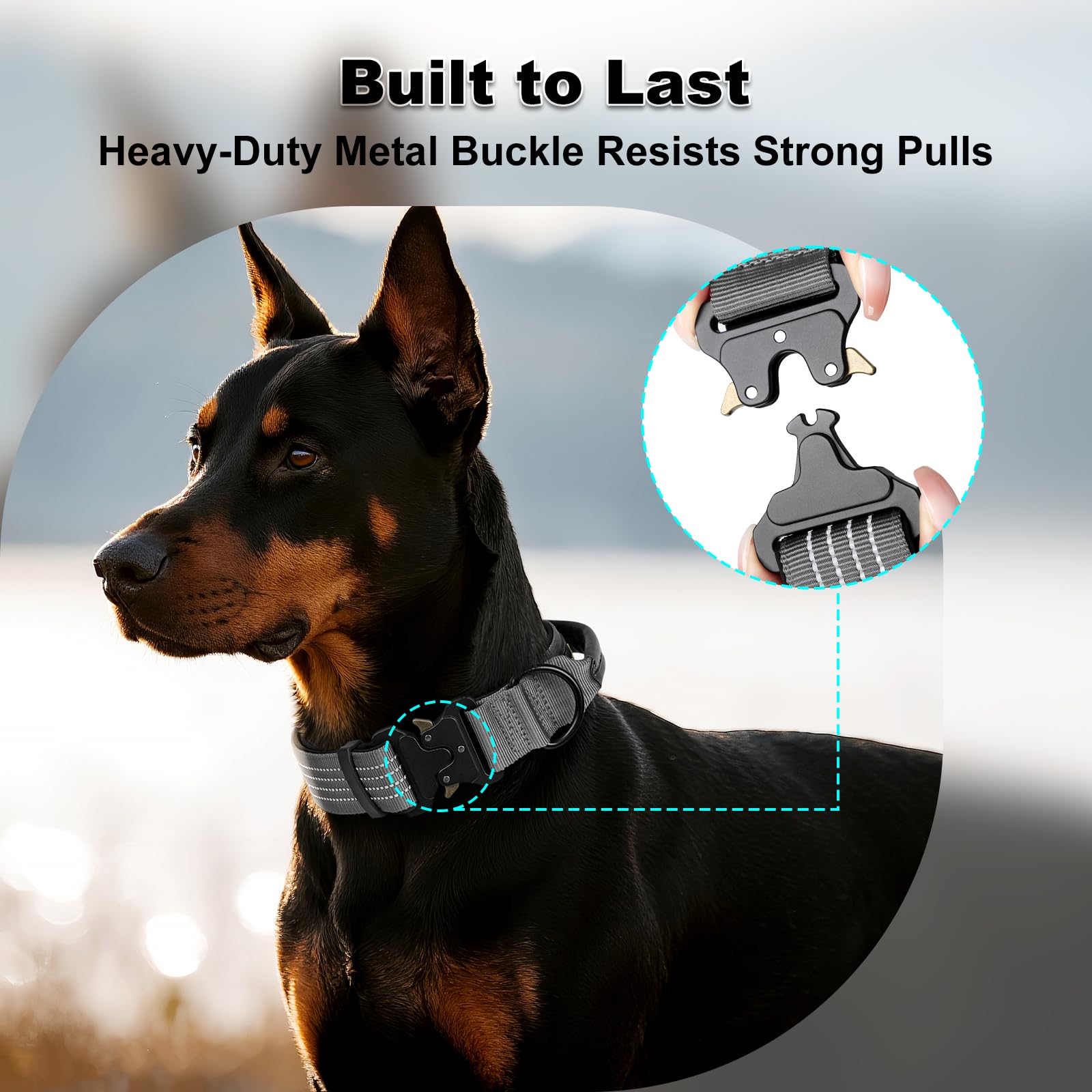 Plutus Pet cierre metálico resistente: sujeción confiable durante paseos activos.