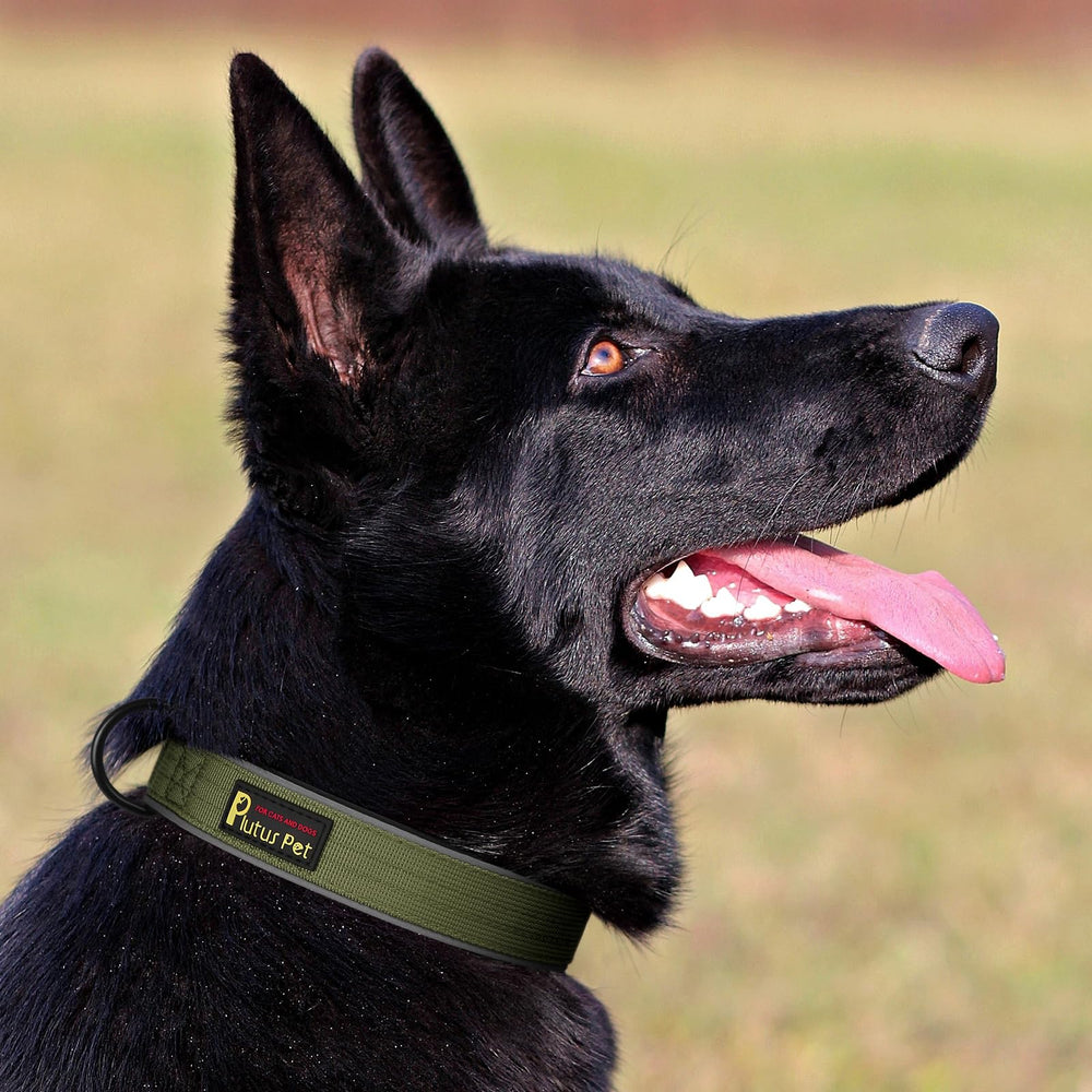 PLUTUS PET collar táctico verde ranger para tallas grandes.