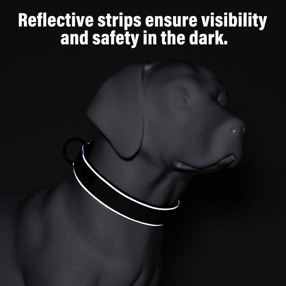 PLUTUS PET collar con visibilidad nocturna mejorada para salidas vespertinas.