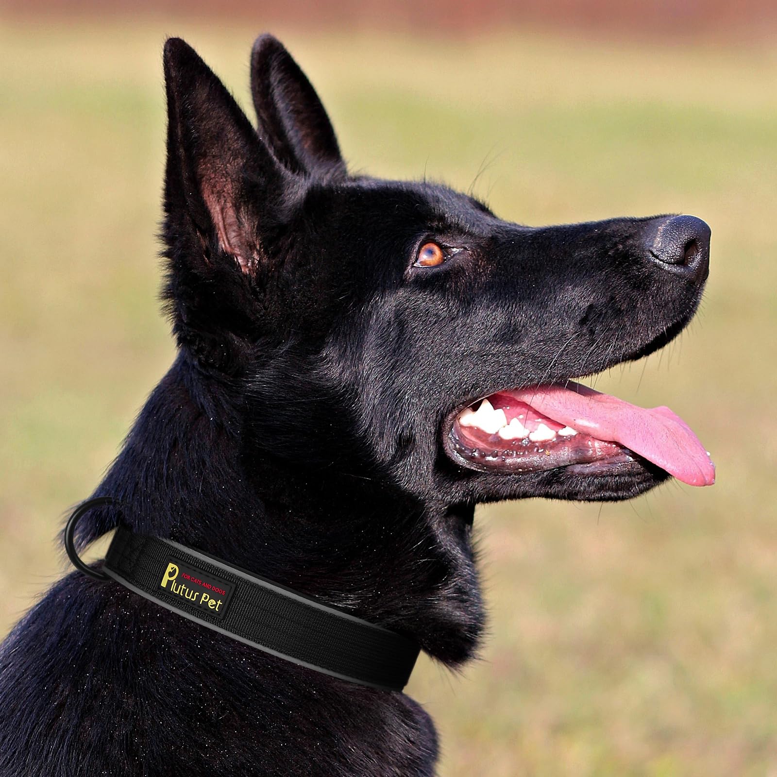 PLUTUS PET collar duradero de nylon de doble capa para aventuras.