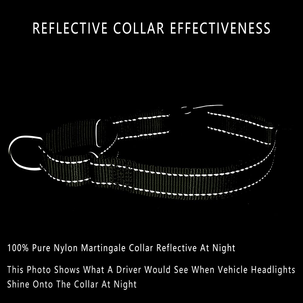 PLUTUS PET collar con visibilidad nocturna para mayor seguridad